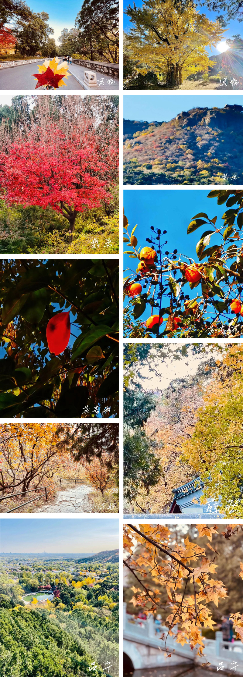 未標題-2.jpg 未標題-2.jpg