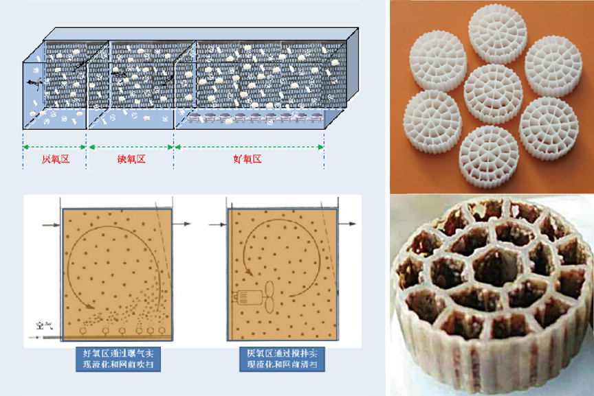 FBC222.jpg FBC222.jpg